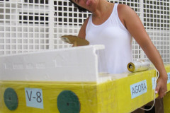 sarli-jr-so-silvestre-2011_6635999385_o